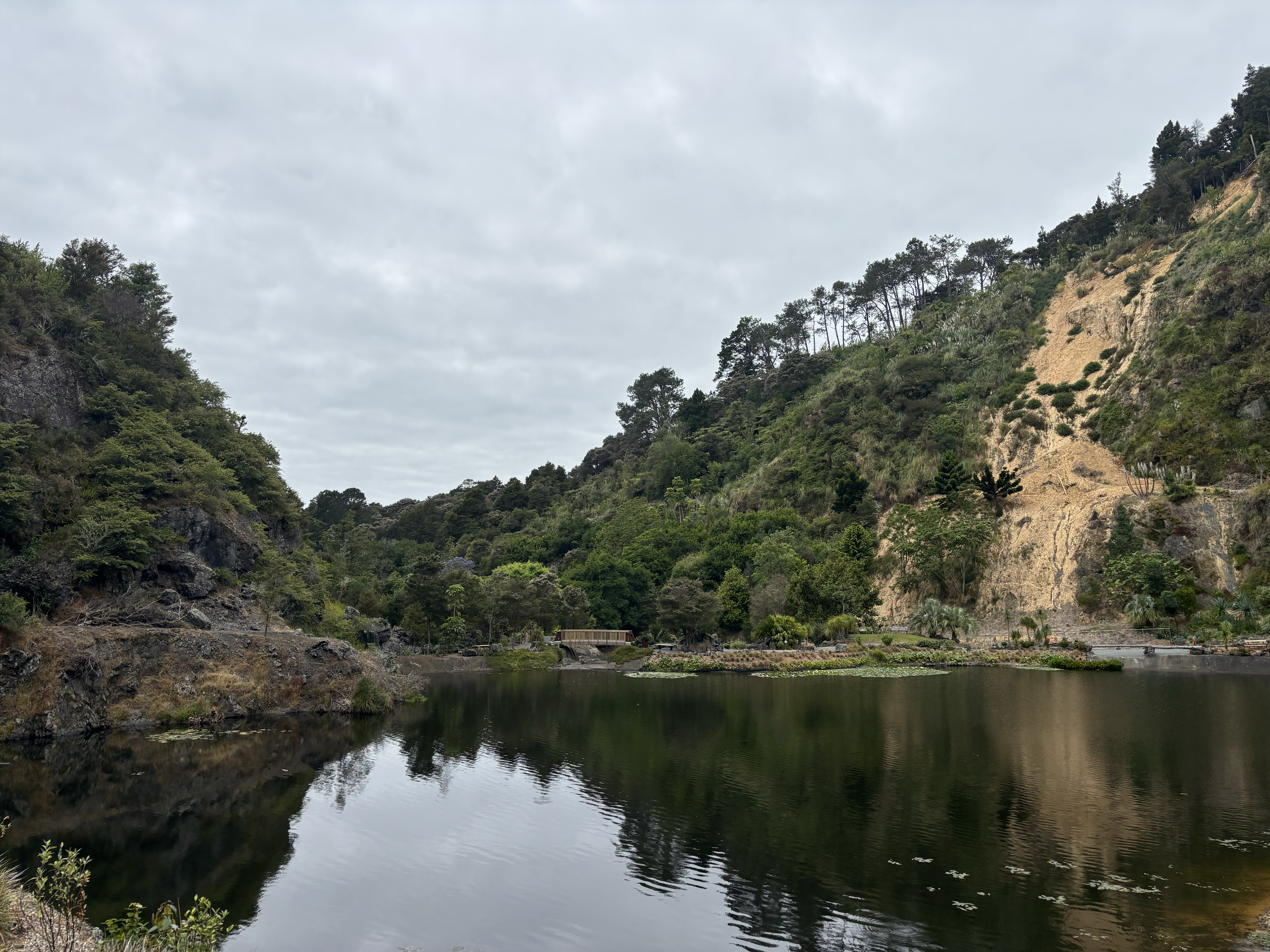 Lake (Back View)